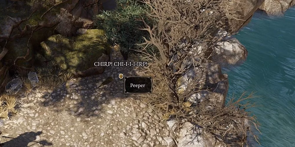 don-t-eat-that-egg-a-complete-guide-to-counting-your-chickens-in-divinity-original-sin-2-image-2
