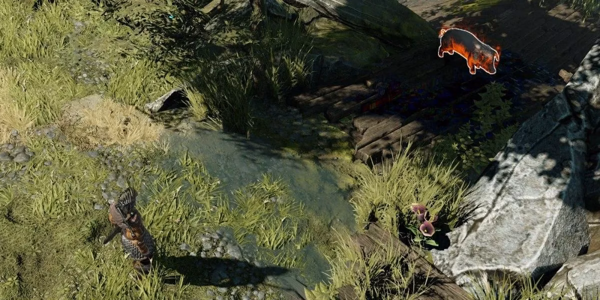 divinity-original-sin-2-guide-how-to-help-the-burning-pigs-in-the-hollow-marshes-image-0