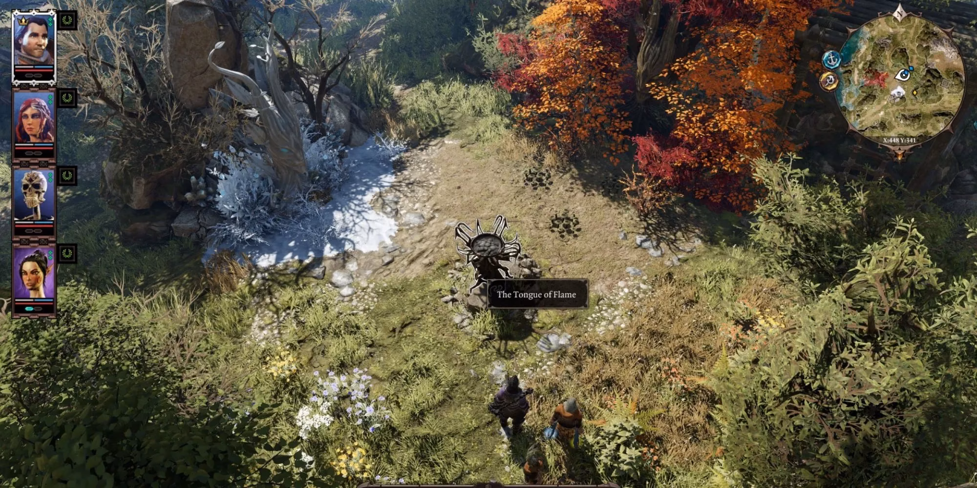 ranking-the-best-summoning-skills-in-divinity-original-sin-2-image-9