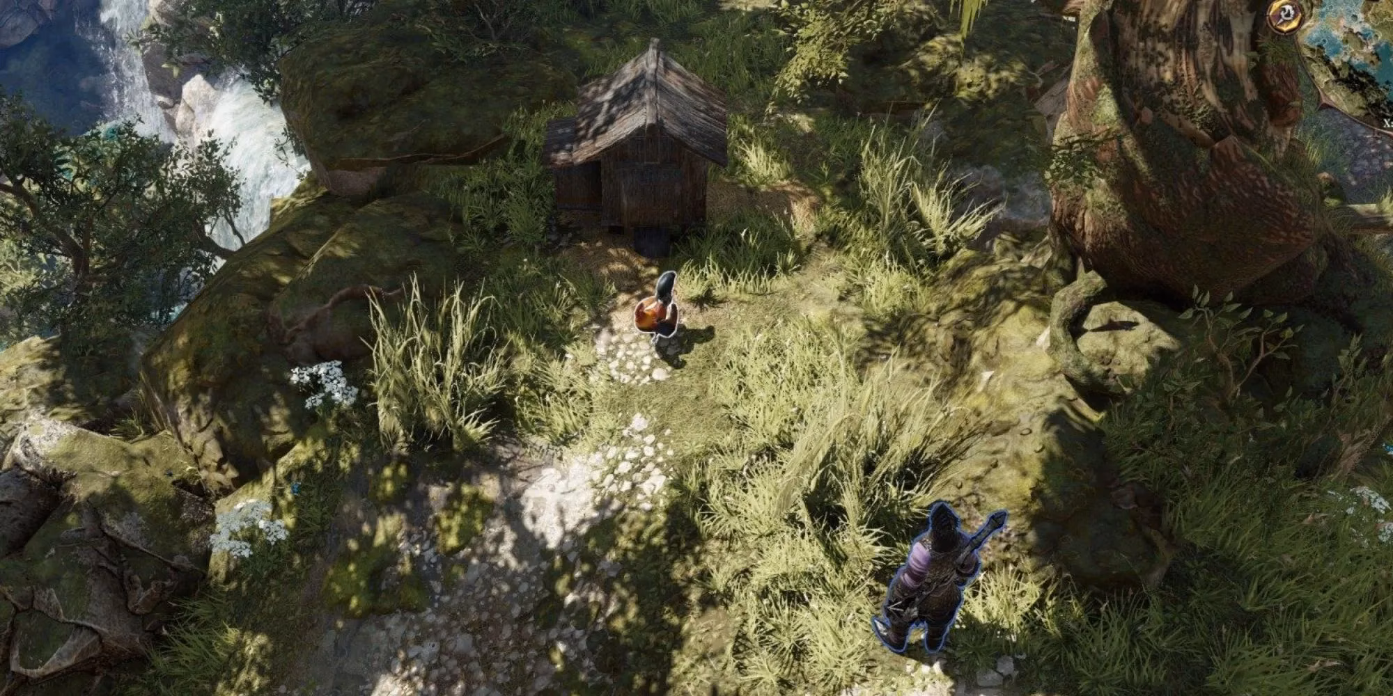 don-t-eat-that-egg-a-complete-guide-to-counting-your-chickens-in-divinity-original-sin-2-image-3